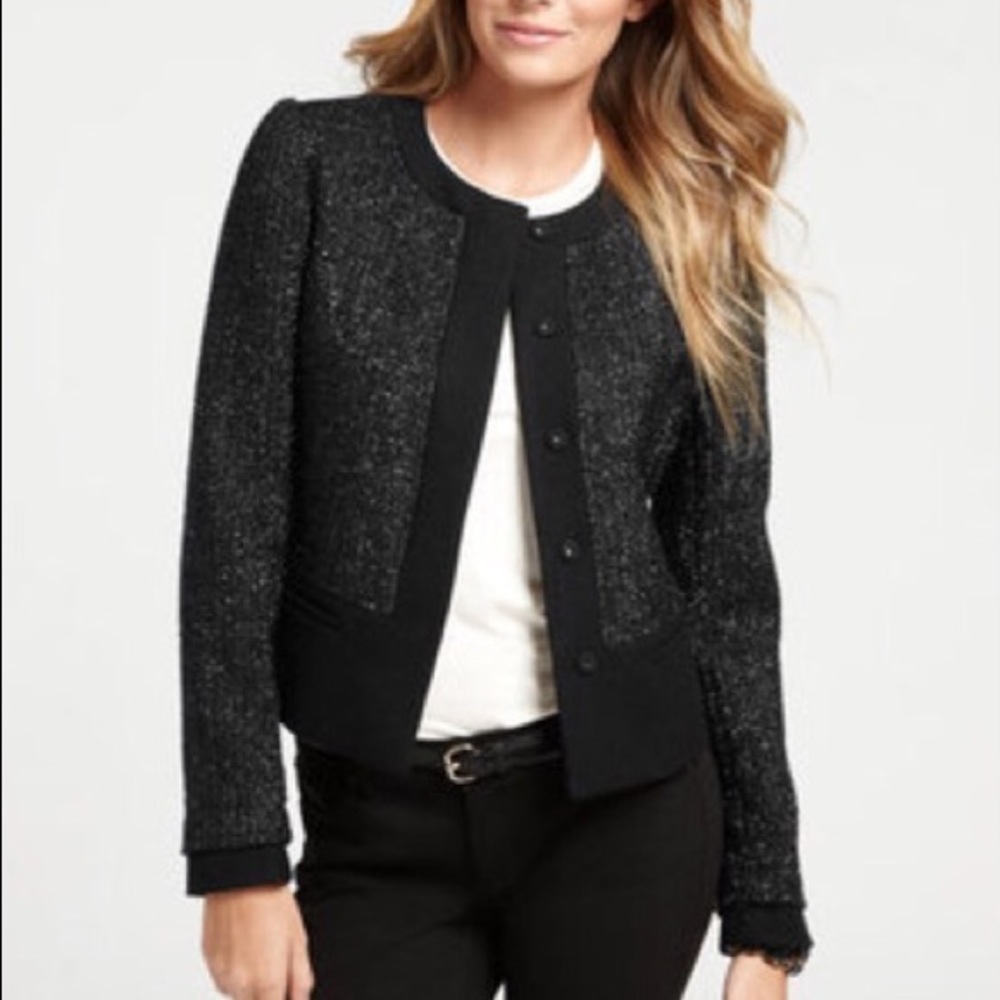 Ann Taylor Shimmery Blazer